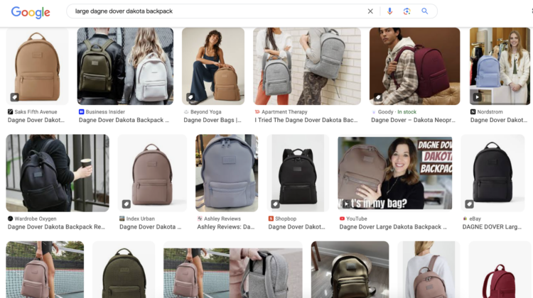 Screenshot of Google Images when searching the terms dagne dover large dakota backpack